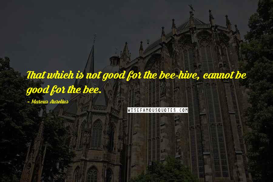 Marcus Aurelius Quotes: That which is not good for the bee-hive, cannot be good for the bee.