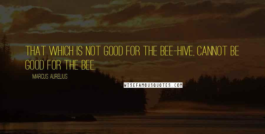 Marcus Aurelius Quotes: That which is not good for the bee-hive, cannot be good for the bee.