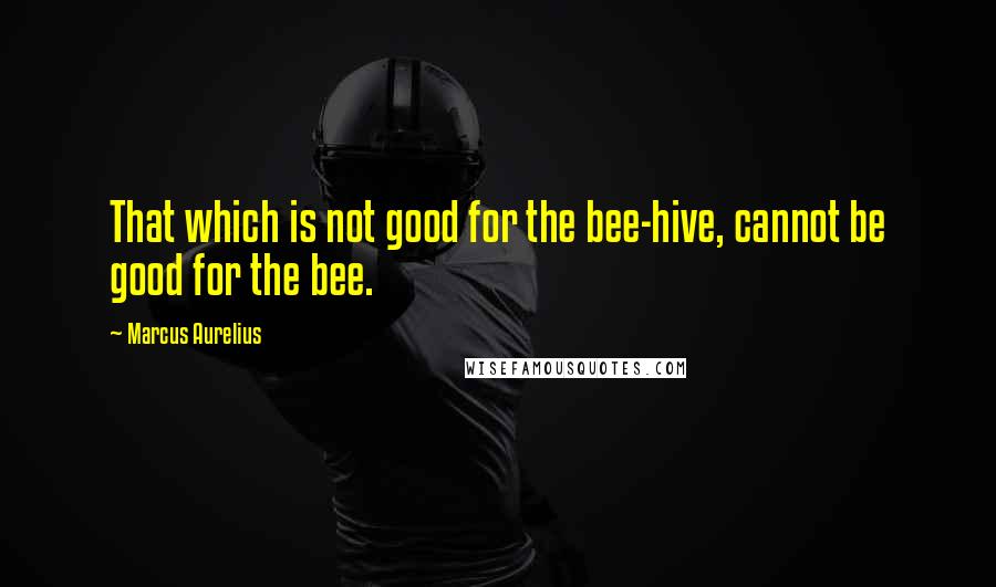 Marcus Aurelius Quotes: That which is not good for the bee-hive, cannot be good for the bee.