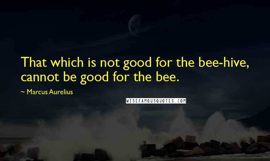 Marcus Aurelius Quotes: That which is not good for the bee-hive, cannot be good for the bee.