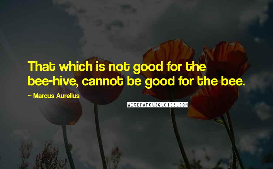 Marcus Aurelius Quotes: That which is not good for the bee-hive, cannot be good for the bee.