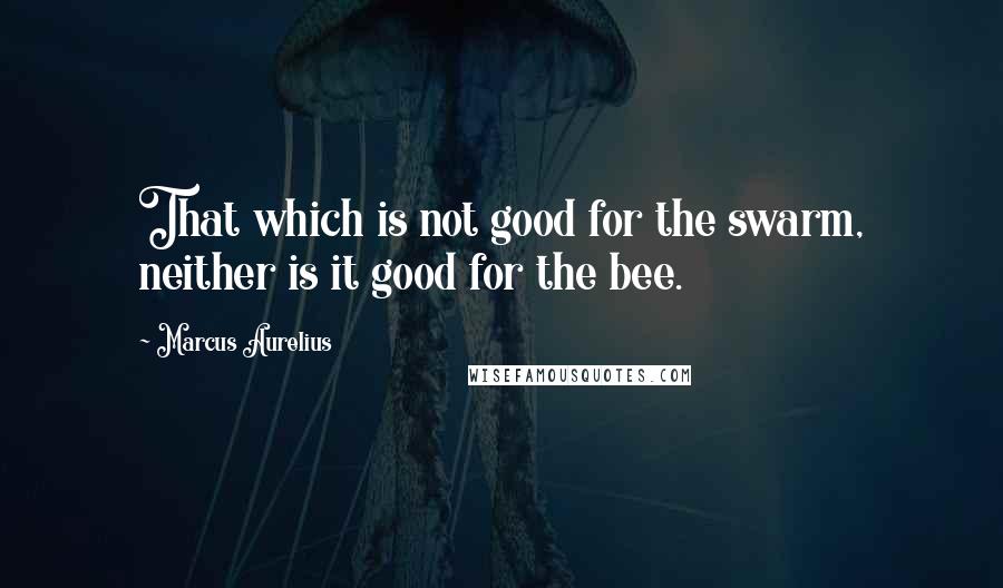 Marcus Aurelius Quotes: That which is not good for the swarm, neither is it good for the bee.