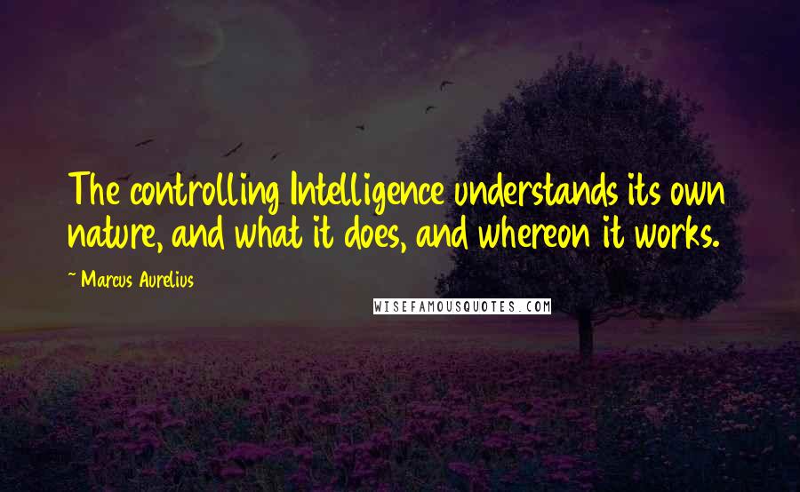 Marcus Aurelius Quotes: The controlling Intelligence understands its own nature, and what it does, and whereon it works.