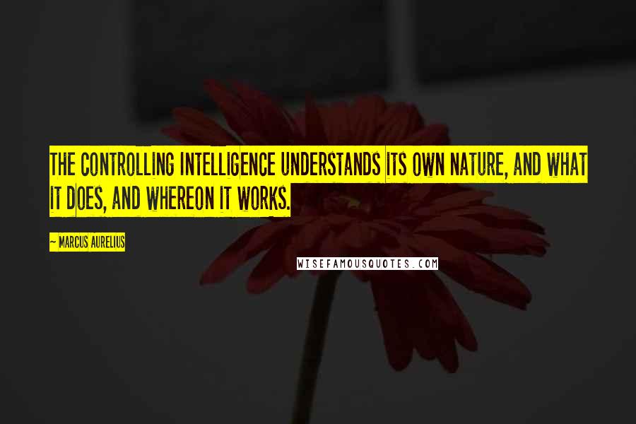 Marcus Aurelius Quotes: The controlling Intelligence understands its own nature, and what it does, and whereon it works.