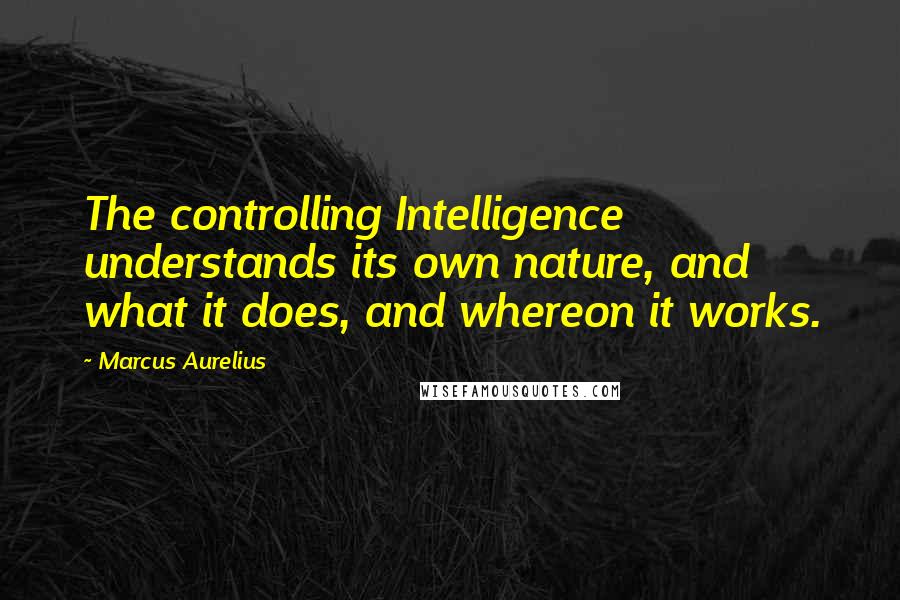 Marcus Aurelius Quotes: The controlling Intelligence understands its own nature, and what it does, and whereon it works.