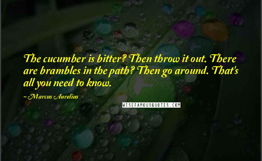 Marcus Aurelius Quotes: The cucumber is bitter? Then throw it out. There are brambles in the path? Then go around. That's all you need to know.