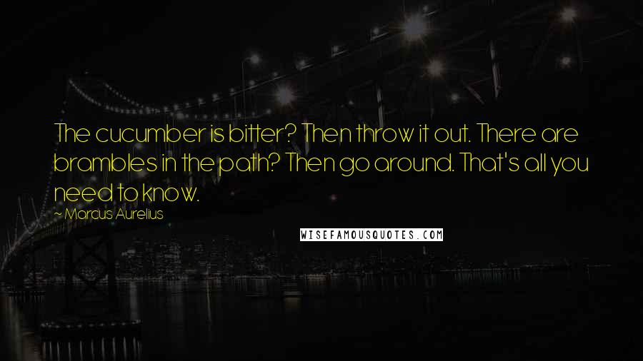 Marcus Aurelius Quotes: The cucumber is bitter? Then throw it out. There are brambles in the path? Then go around. That's all you need to know.