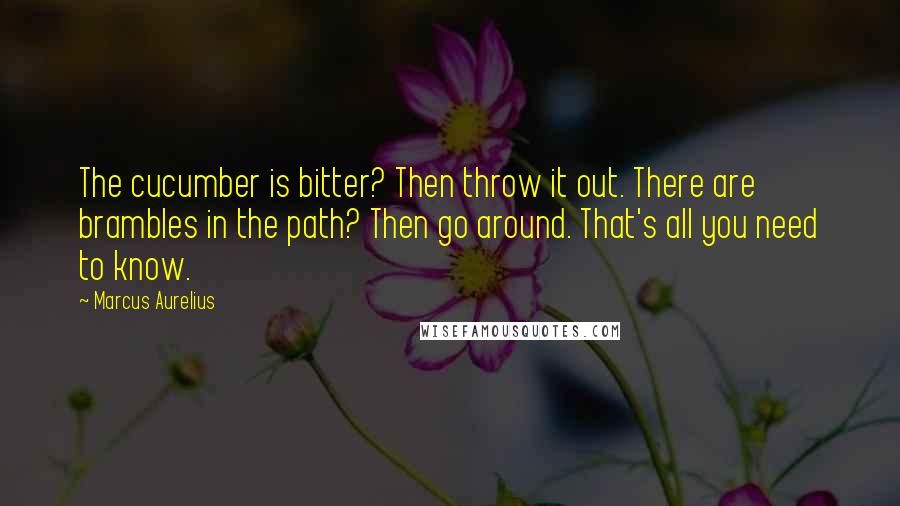 Marcus Aurelius Quotes: The cucumber is bitter? Then throw it out. There are brambles in the path? Then go around. That's all you need to know.
