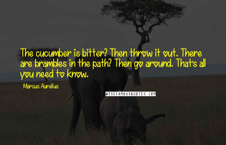 Marcus Aurelius Quotes: The cucumber is bitter? Then throw it out. There are brambles in the path? Then go around. That's all you need to know.