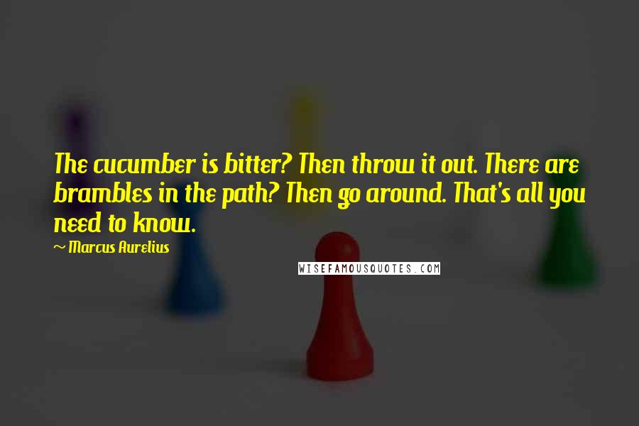 Marcus Aurelius Quotes: The cucumber is bitter? Then throw it out. There are brambles in the path? Then go around. That's all you need to know.