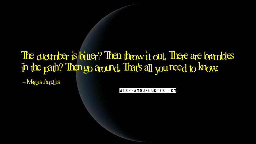 Marcus Aurelius Quotes: The cucumber is bitter? Then throw it out. There are brambles in the path? Then go around. That's all you need to know.