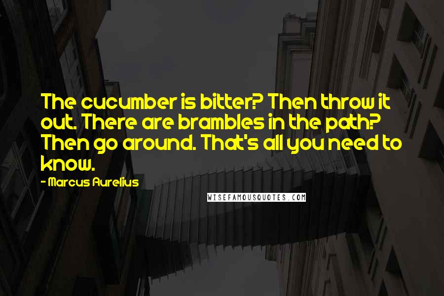 Marcus Aurelius Quotes: The cucumber is bitter? Then throw it out. There are brambles in the path? Then go around. That's all you need to know.