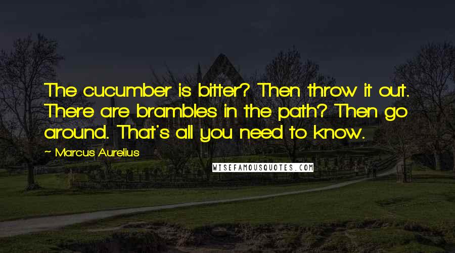 Marcus Aurelius Quotes: The cucumber is bitter? Then throw it out. There are brambles in the path? Then go around. That's all you need to know.