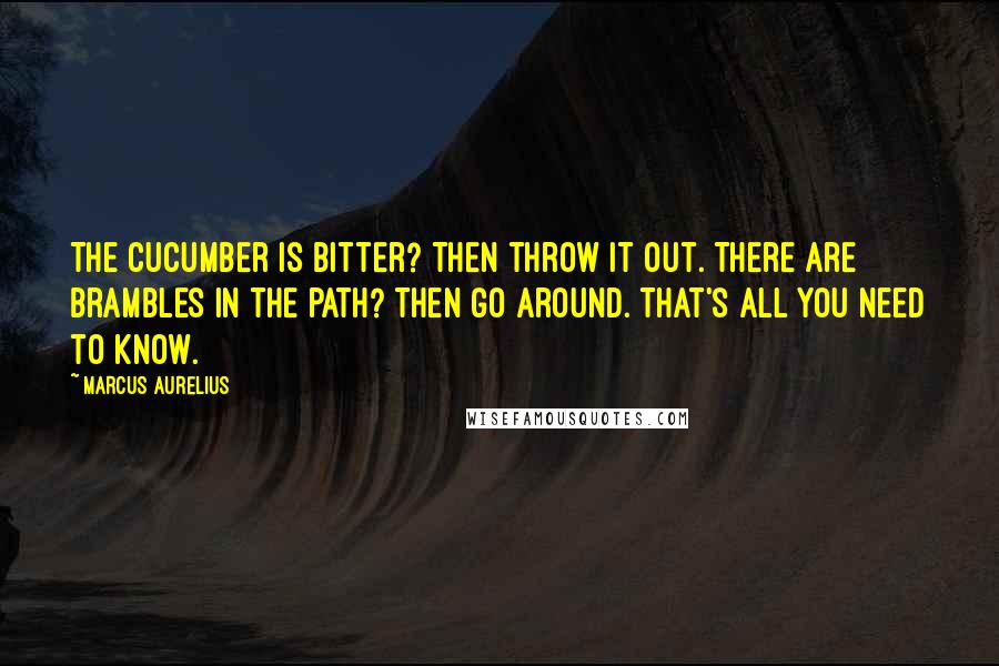 Marcus Aurelius Quotes: The cucumber is bitter? Then throw it out. There are brambles in the path? Then go around. That's all you need to know.