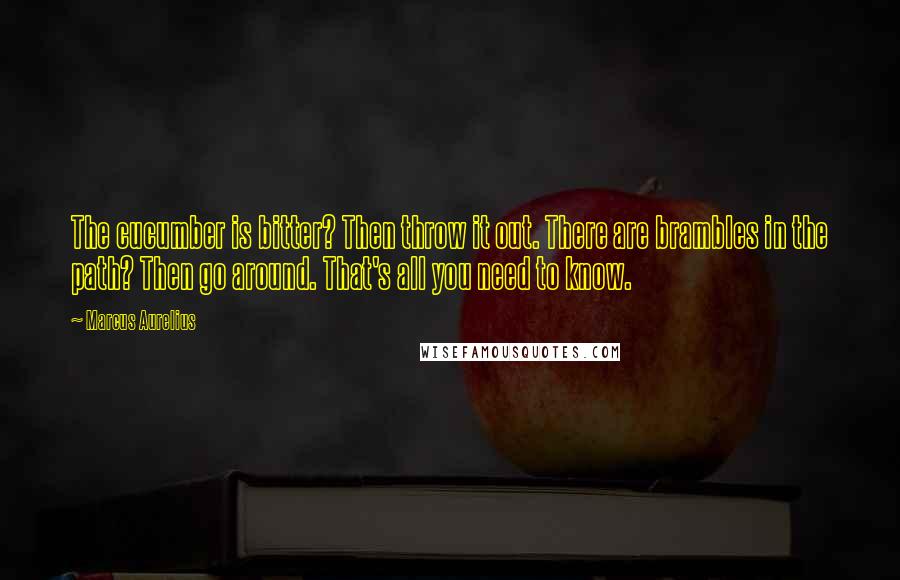 Marcus Aurelius Quotes: The cucumber is bitter? Then throw it out. There are brambles in the path? Then go around. That's all you need to know.