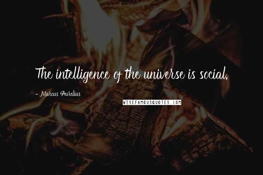 Marcus Aurelius Quotes: The intelligence of the universe is social.