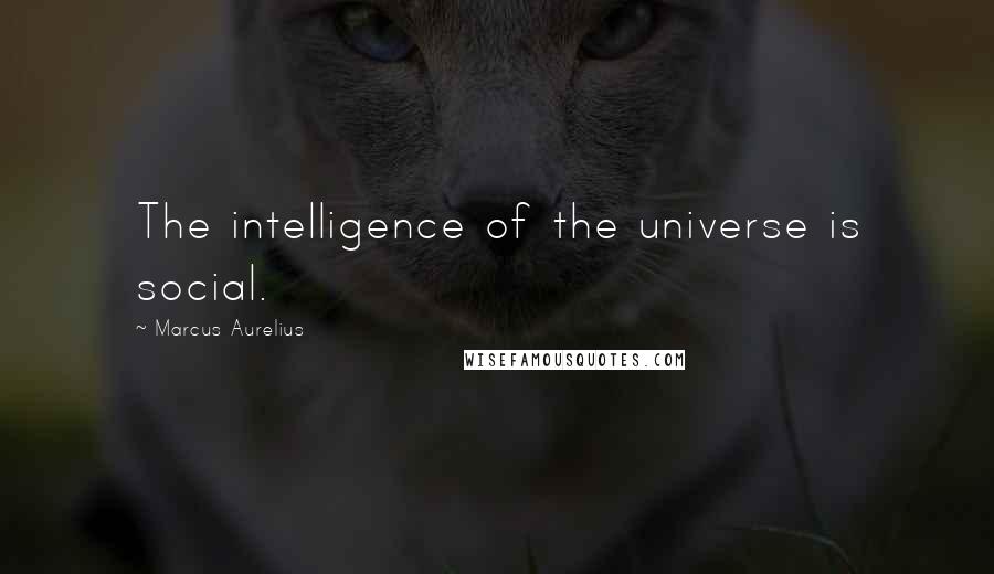 Marcus Aurelius Quotes: The intelligence of the universe is social.