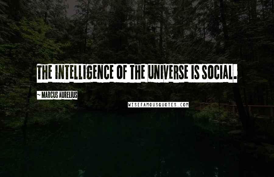 Marcus Aurelius Quotes: The intelligence of the universe is social.