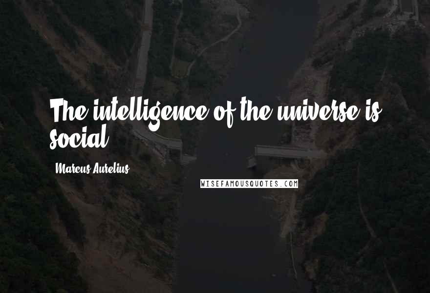 Marcus Aurelius Quotes: The intelligence of the universe is social.