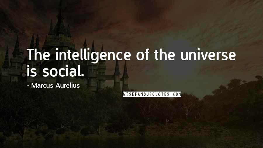 Marcus Aurelius Quotes: The intelligence of the universe is social.