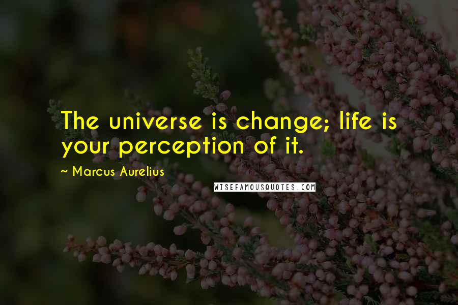 Marcus Aurelius Quotes: The universe is change; life is your perception of it.