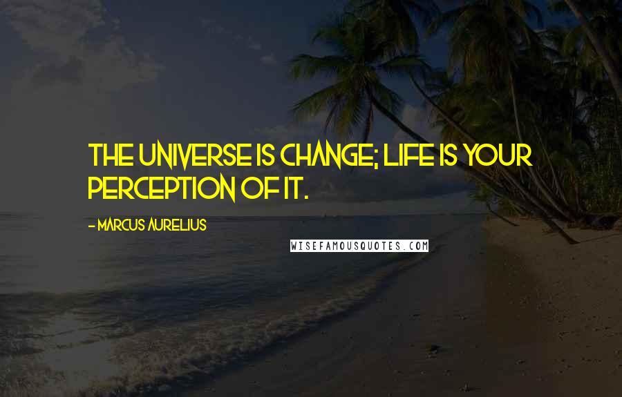 Marcus Aurelius Quotes: The universe is change; life is your perception of it.