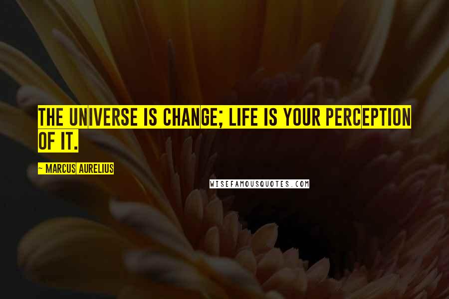 Marcus Aurelius Quotes: The universe is change; life is your perception of it.