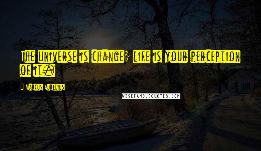 Marcus Aurelius Quotes: The universe is change; life is your perception of it.