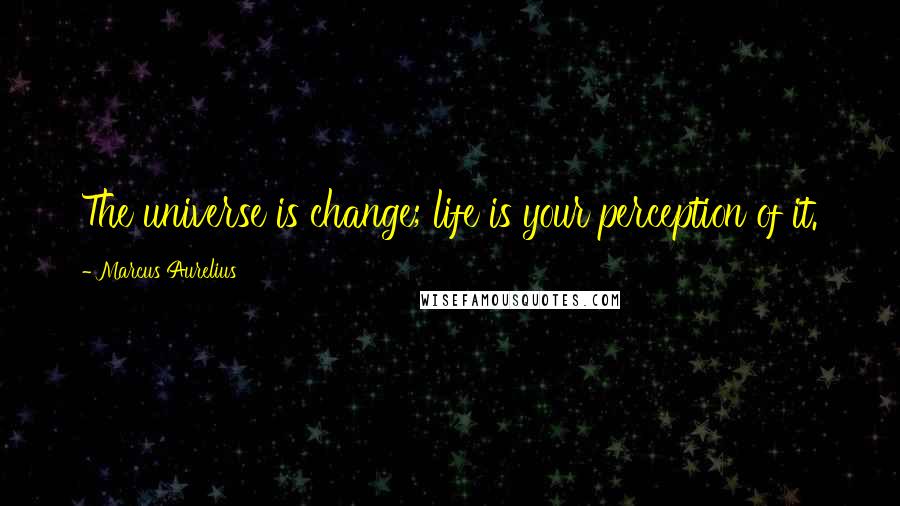 Marcus Aurelius Quotes: The universe is change; life is your perception of it.