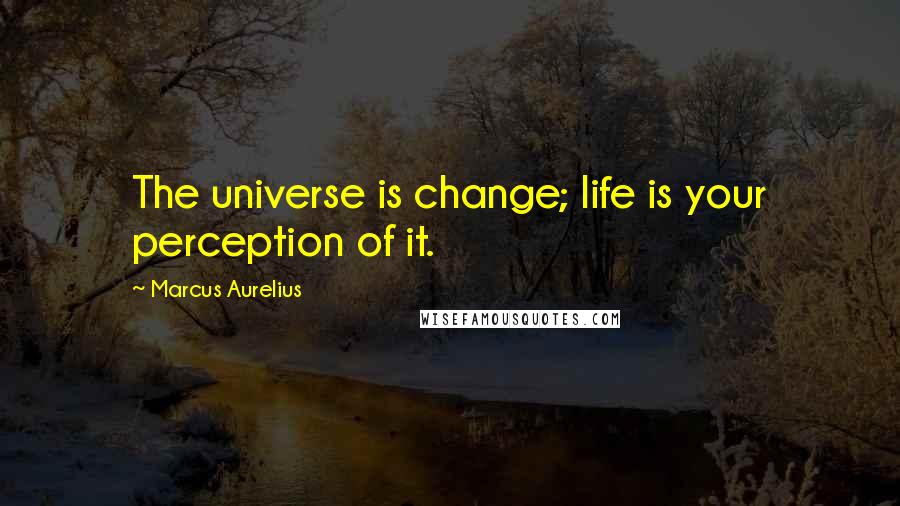 Marcus Aurelius Quotes: The universe is change; life is your perception of it.