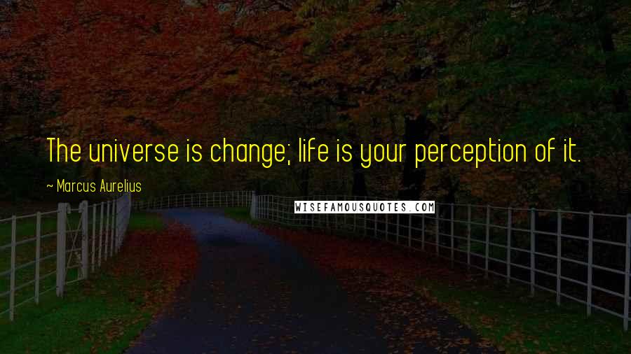 Marcus Aurelius Quotes: The universe is change; life is your perception of it.