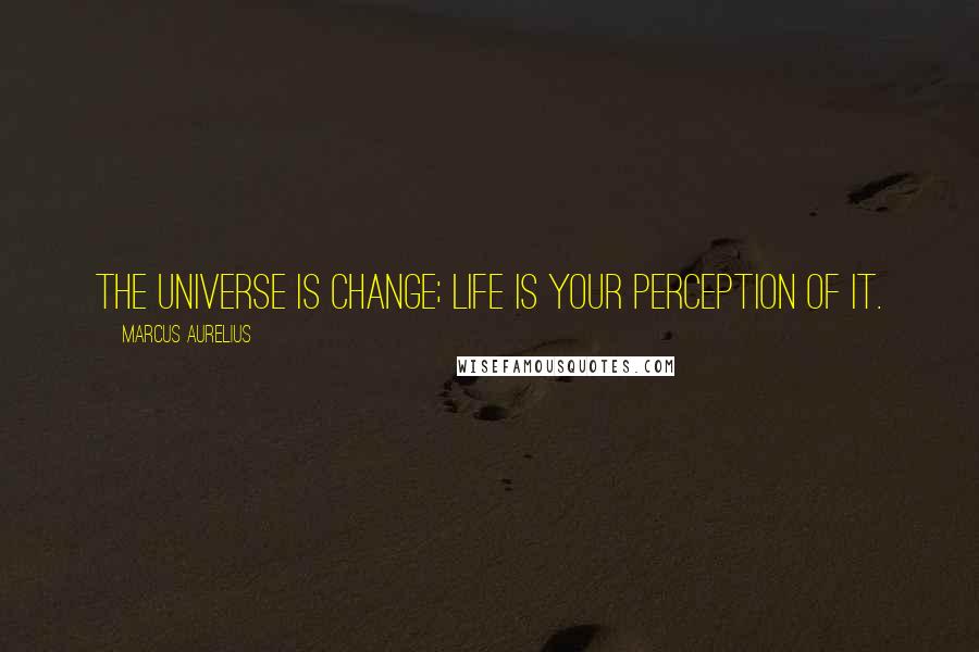 Marcus Aurelius Quotes: The universe is change; life is your perception of it.