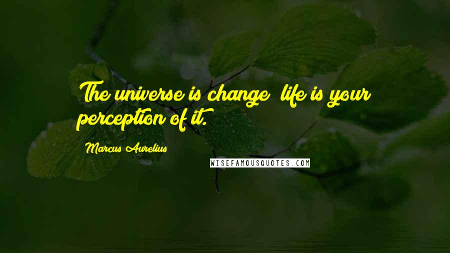 Marcus Aurelius Quotes: The universe is change; life is your perception of it.