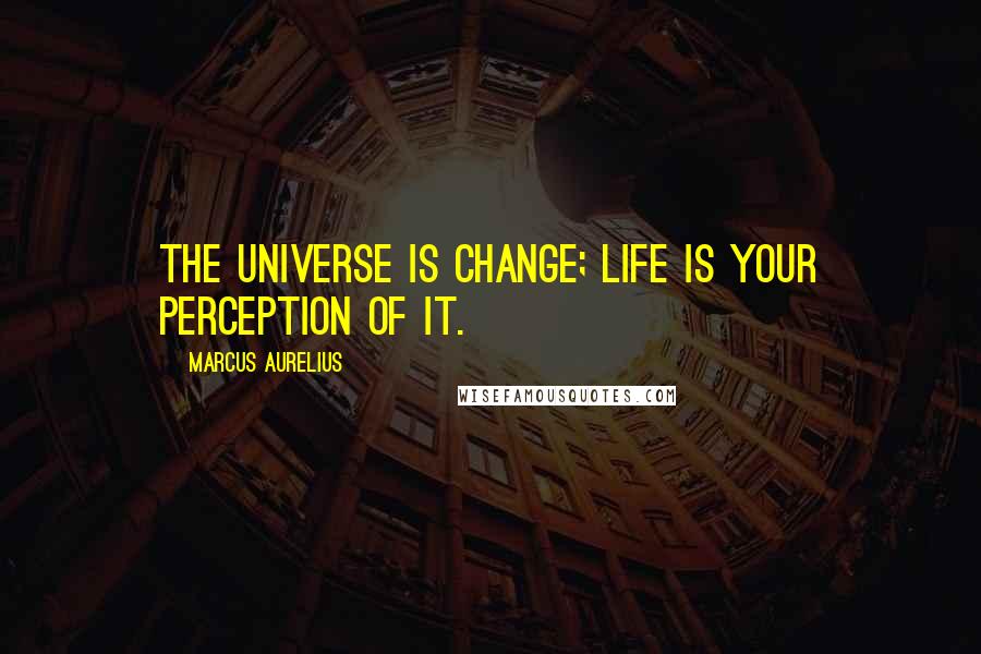 Marcus Aurelius Quotes: The universe is change; life is your perception of it.