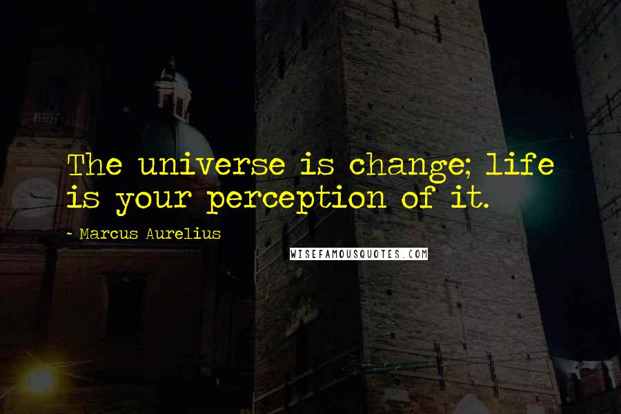 Marcus Aurelius Quotes: The universe is change; life is your perception of it.
