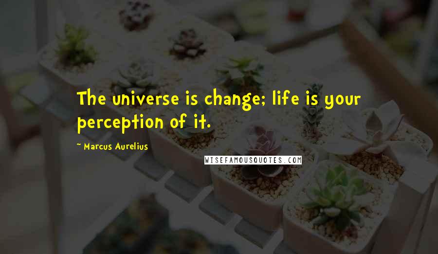 Marcus Aurelius Quotes: The universe is change; life is your perception of it.