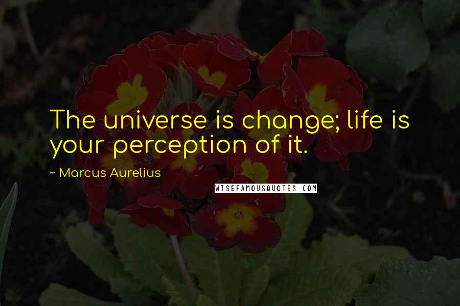 Marcus Aurelius Quotes: The universe is change; life is your perception of it.