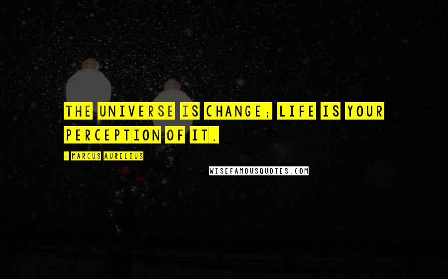 Marcus Aurelius Quotes: The universe is change; life is your perception of it.