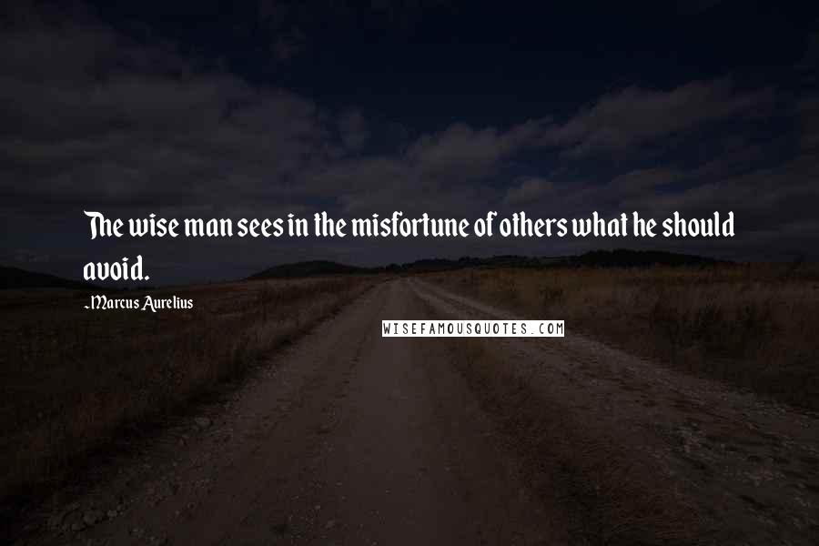 Marcus Aurelius Quotes: The wise man sees in the misfortune of others what he should avoid.
