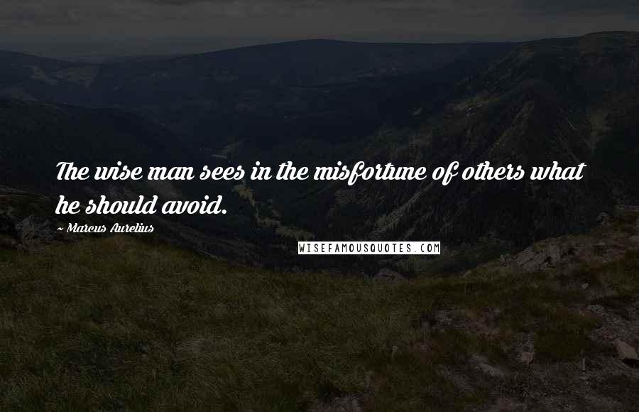 Marcus Aurelius Quotes: The wise man sees in the misfortune of others what he should avoid.
