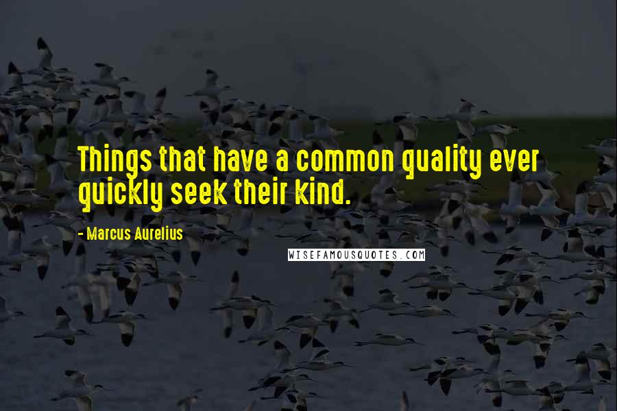 Marcus Aurelius Quotes: Things that have a common quality ever quickly seek their kind.