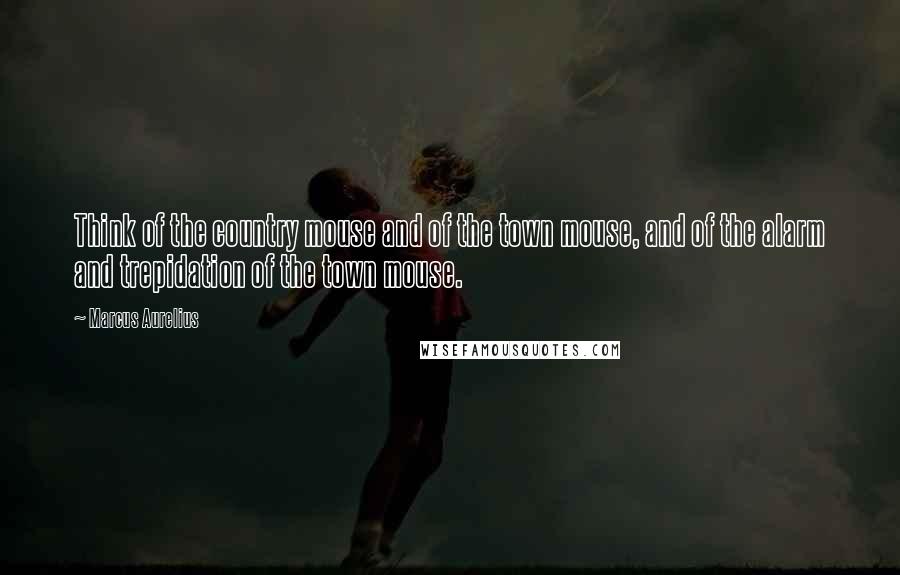 Marcus Aurelius Quotes: Think of the country mouse and of the town mouse, and of the alarm and trepidation of the town mouse.