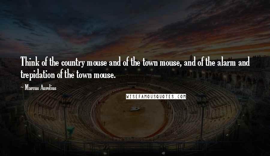 Marcus Aurelius Quotes: Think of the country mouse and of the town mouse, and of the alarm and trepidation of the town mouse.