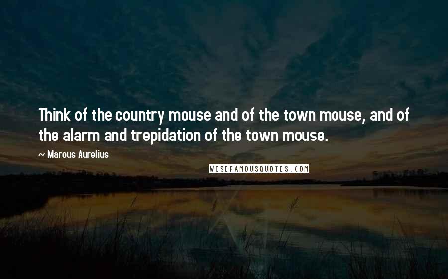 Marcus Aurelius Quotes: Think of the country mouse and of the town mouse, and of the alarm and trepidation of the town mouse.