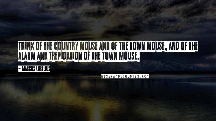 Marcus Aurelius Quotes: Think of the country mouse and of the town mouse, and of the alarm and trepidation of the town mouse.