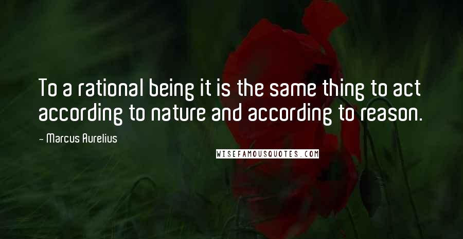 Marcus Aurelius Quotes: To a rational being it is the same thing to act according to nature and according to reason.