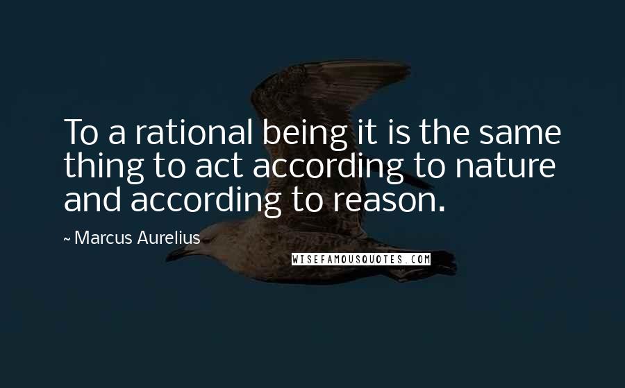 Marcus Aurelius Quotes: To a rational being it is the same thing to act according to nature and according to reason.