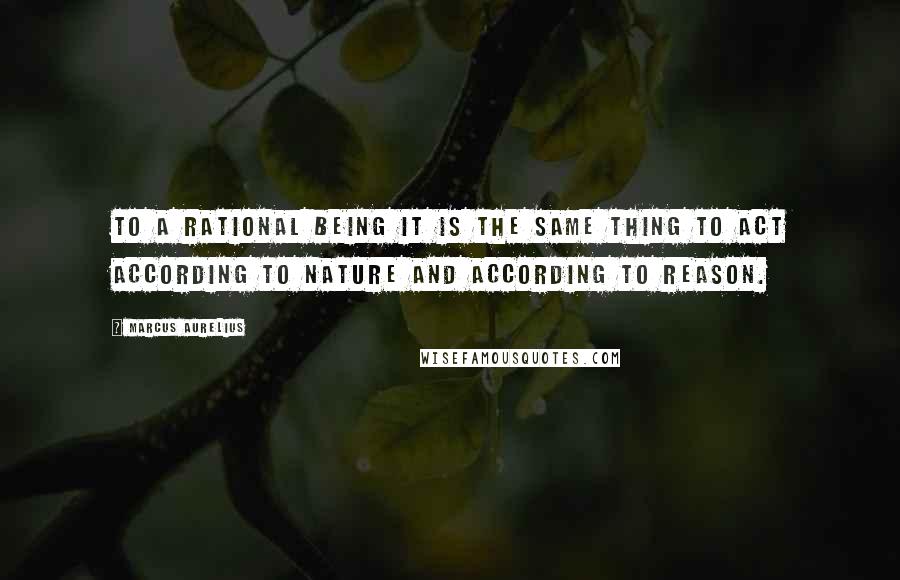 Marcus Aurelius Quotes: To a rational being it is the same thing to act according to nature and according to reason.