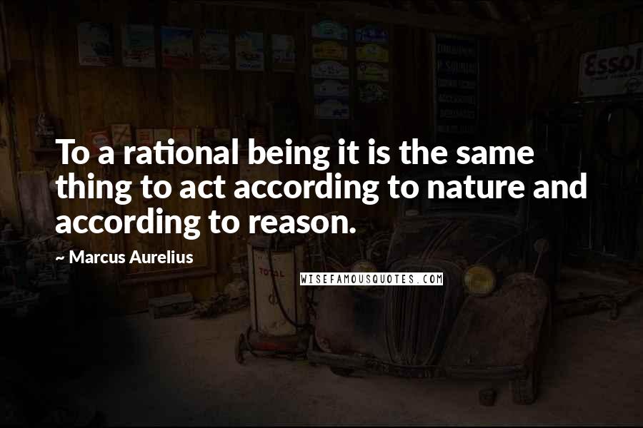 Marcus Aurelius Quotes: To a rational being it is the same thing to act according to nature and according to reason.
