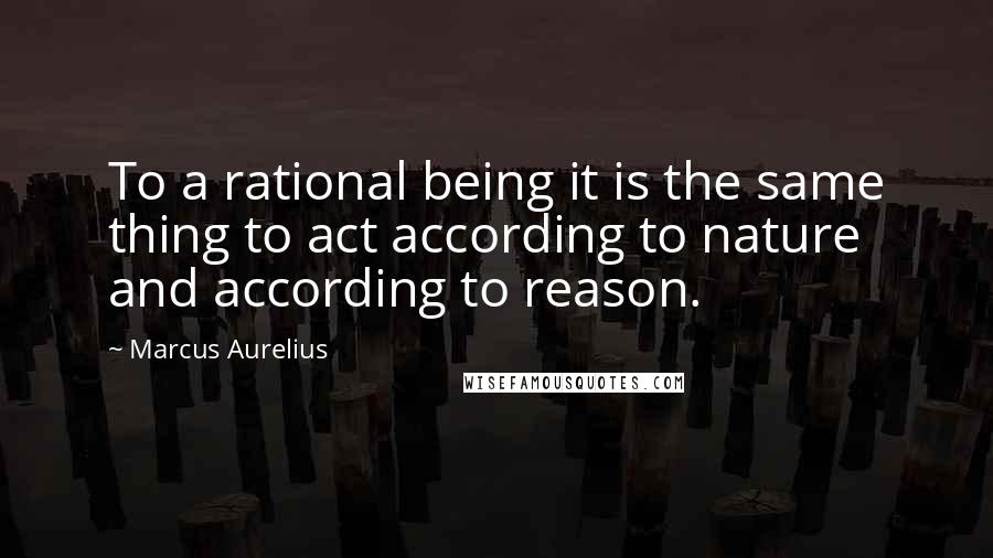 Marcus Aurelius Quotes: To a rational being it is the same thing to act according to nature and according to reason.